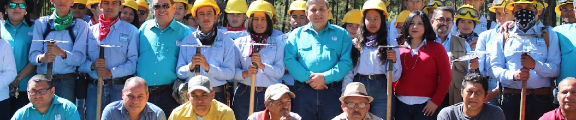 Captura de pantalla 2024-02-23 153157