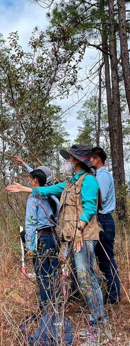 Ecoturismo-(4) Ecoturismo-(4)